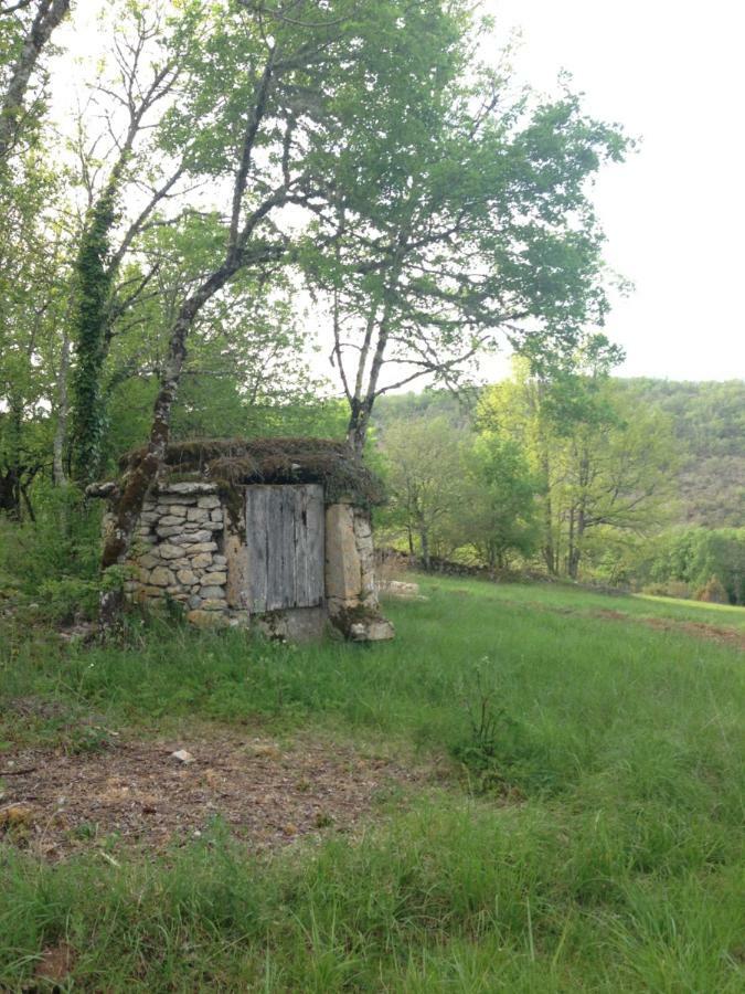 La Roulotte Clerelu - Du Domaine Des Ramonets Pension Cahors Buitenkant foto